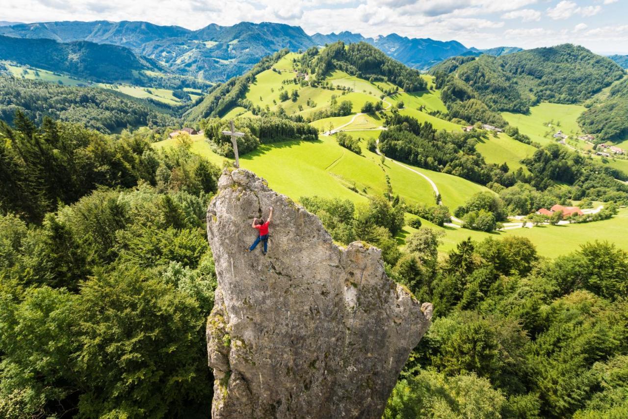Willa Kraeuterhof Miesrigl Losenstein Zewnętrze zdjęcie